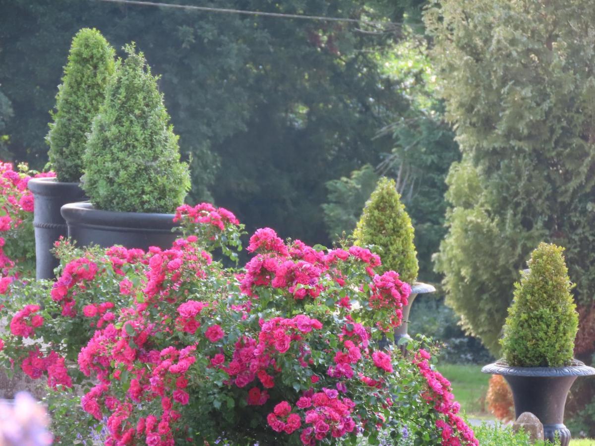 Noan Country House B&B Cashel  Exteriér fotografie