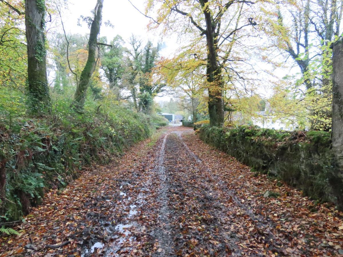Noan Country House B&B Cashel  Exteriér fotografie