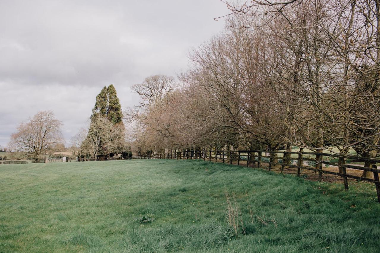 Noan Country House B&B Cashel  Exteriér fotografie